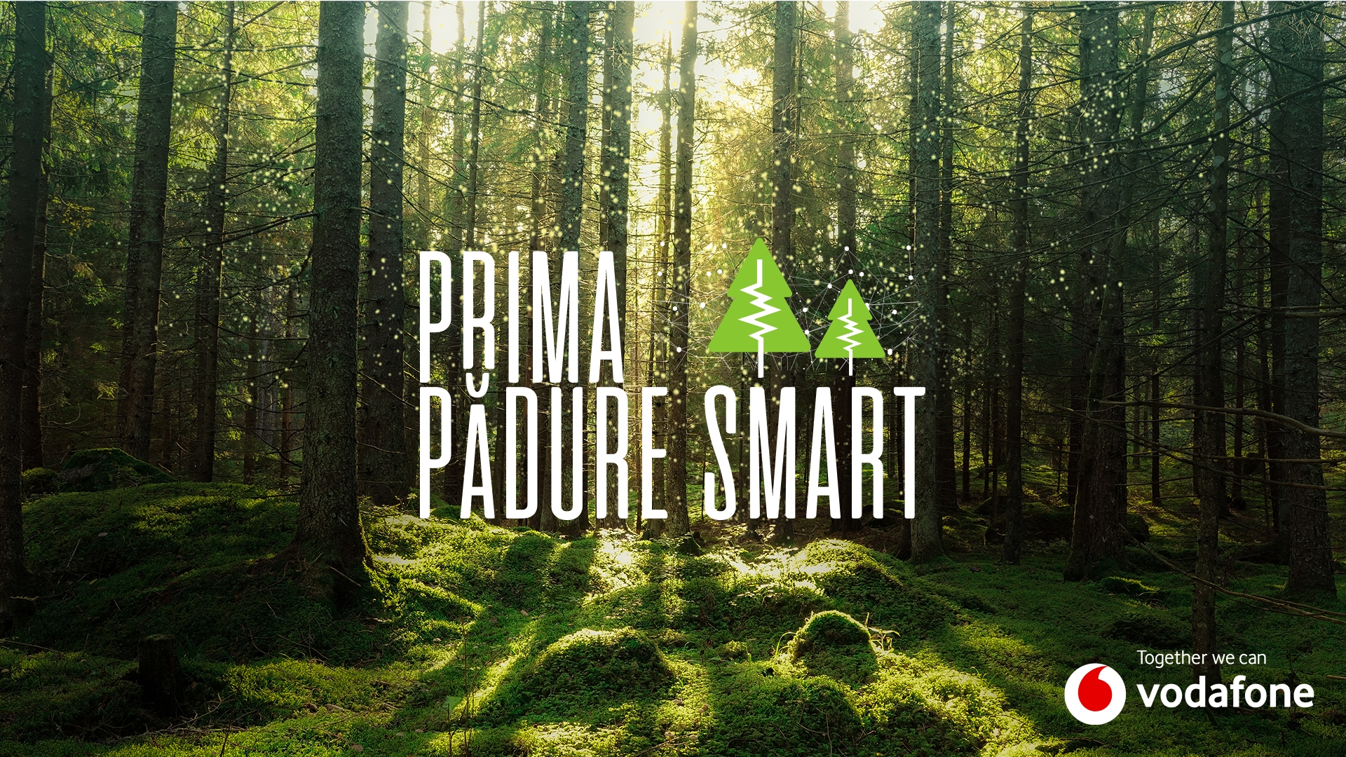 prima pădure inteligentă din România